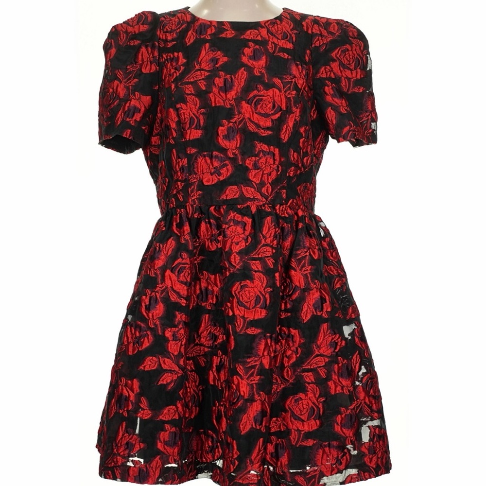 Black Halo Red and Black Floral Mini Dress